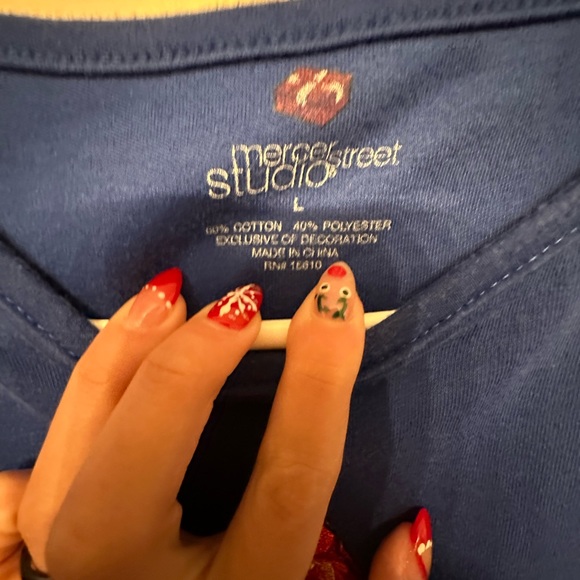 Mercer Street Studio Blue Top with Winter Cardinal & Floral Embroidery Size L - Picture 3 of 5